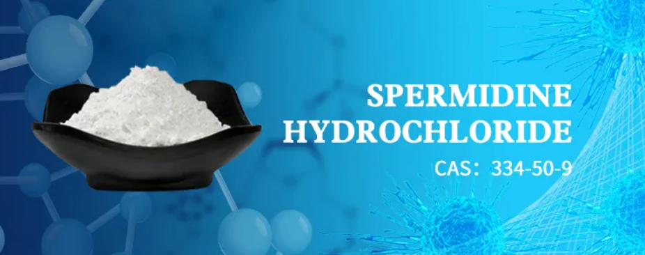 Spermidine Trihydrochloride Powder